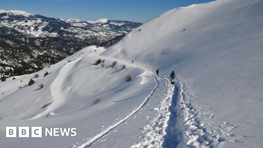 Four hikers found dead after avalanche in central Greece