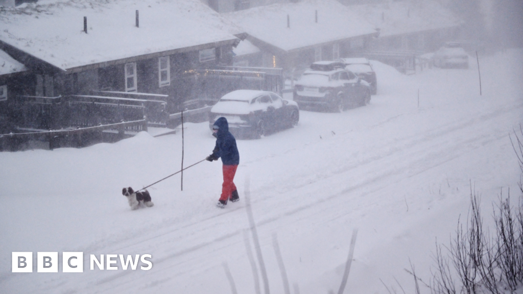 Storm Johannes: Two killed in Sweden as major storm sweeps Nordic countries