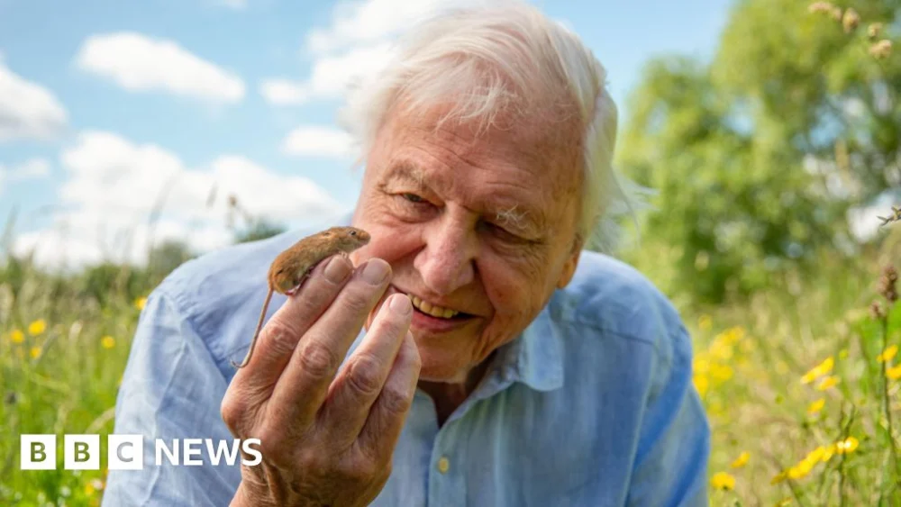 Why Sir David Attenborough wouldn’t live anywhere else but London