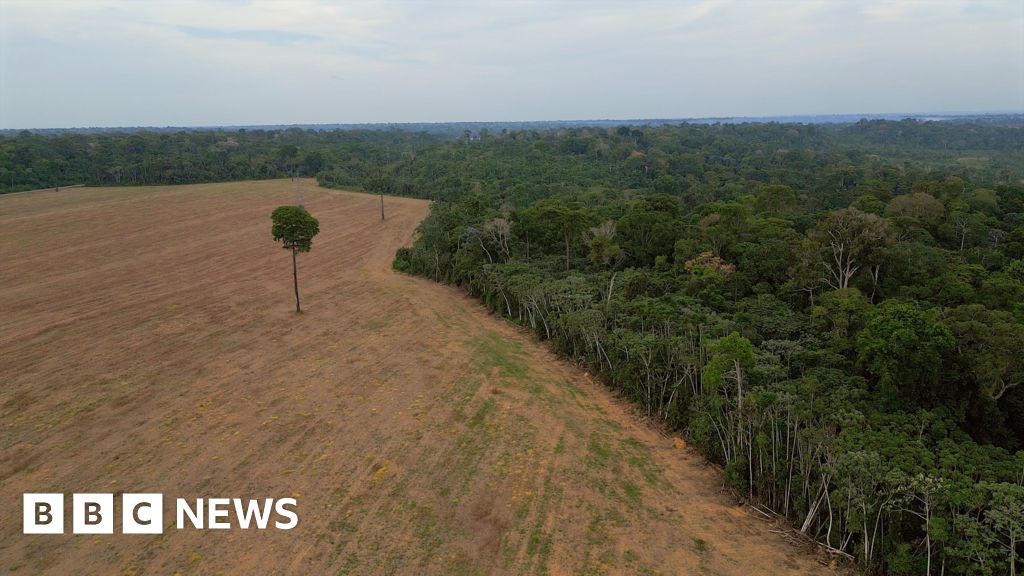 Brazil’s Amazon rainforest at risk as key protection under threat