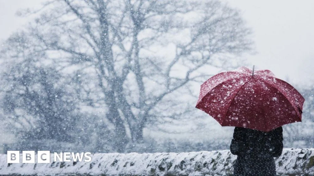 How do cold health alerts work and what do the different levels mean?