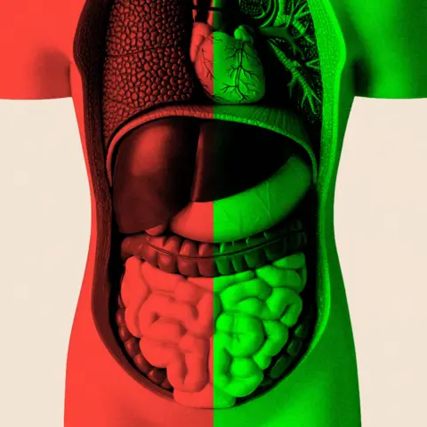 I spent months finding out whether gut health can improve ageing.