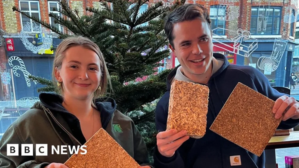 London’s Christmas trees get new lease of life.