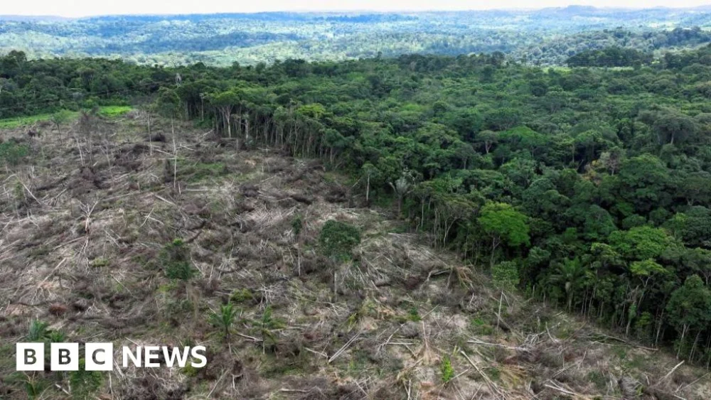 Nature loss is a national security risk, intelligence groups warn