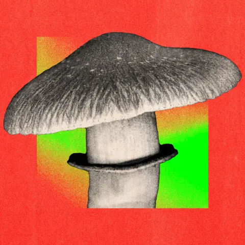Should the NHS really use magic mushrooms to treat mental health?