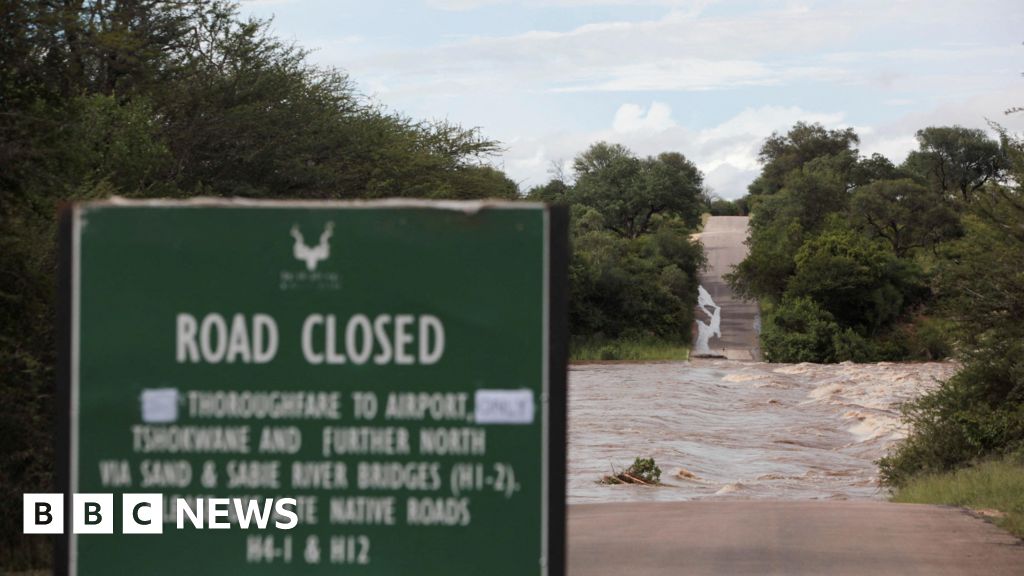 South Africa floods: Kruger National Park shuts to tourists.