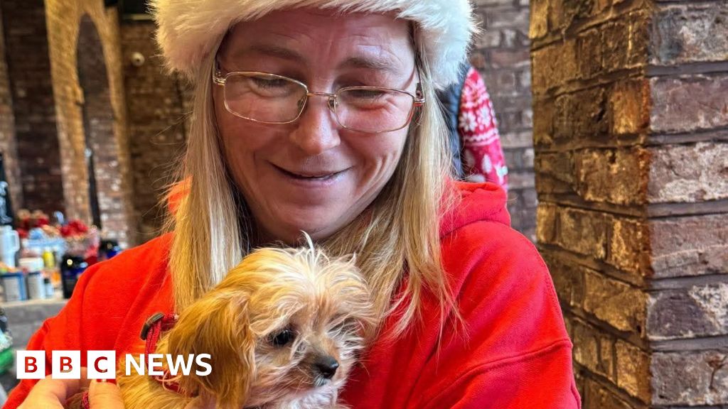 The pet food banks keeping animals with their owners