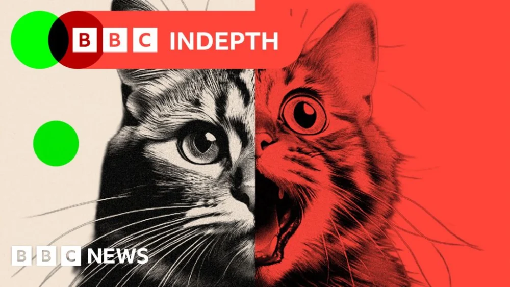 AI ‘slop’ is transforming social media – and there’s a backlash.