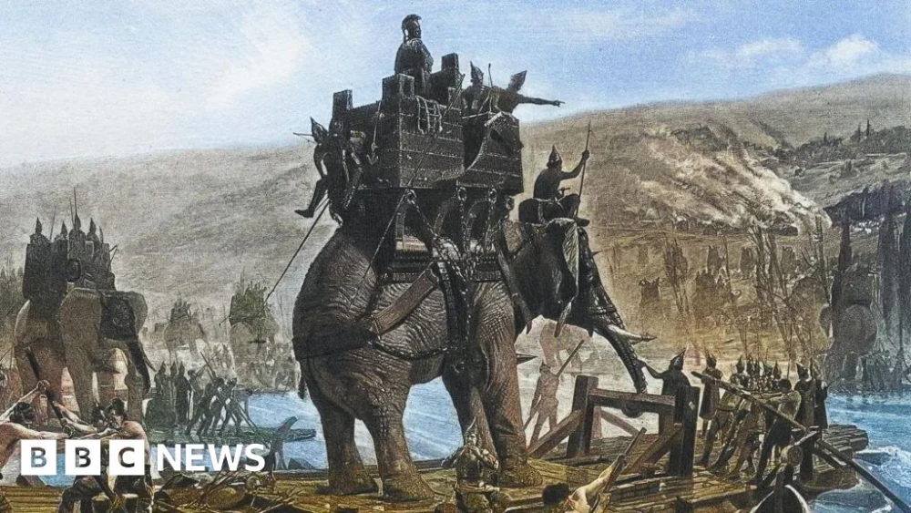 Ancient bone found in Spain could be from Hannibal’s war elephants