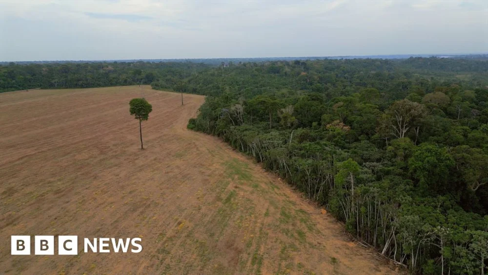 Brazil’s Amazon rainforest at risk as key protection under threat.