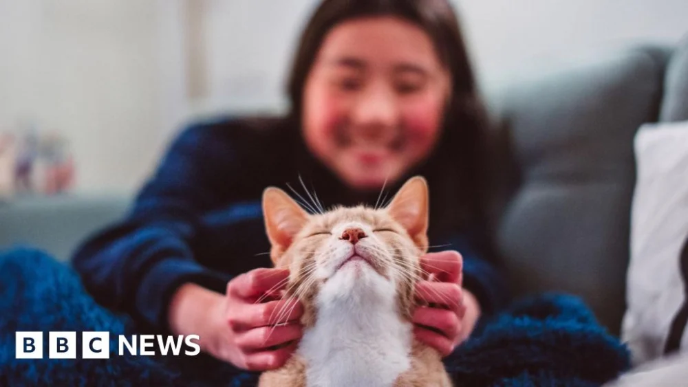 Cats became our companions way later than you think.