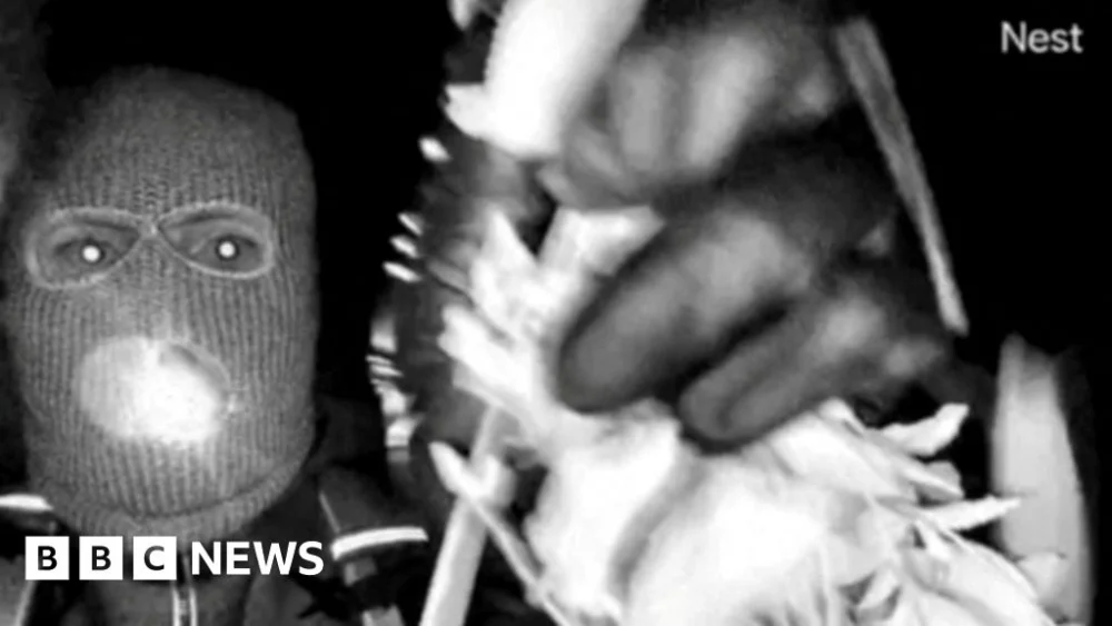 DNA found on glove that may match those in Nancy Guthrie suspect video