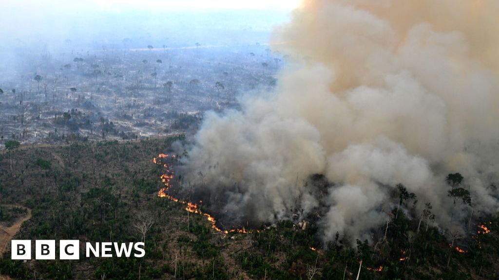 Ipbes report: Nature loss could spell extinction for businesses