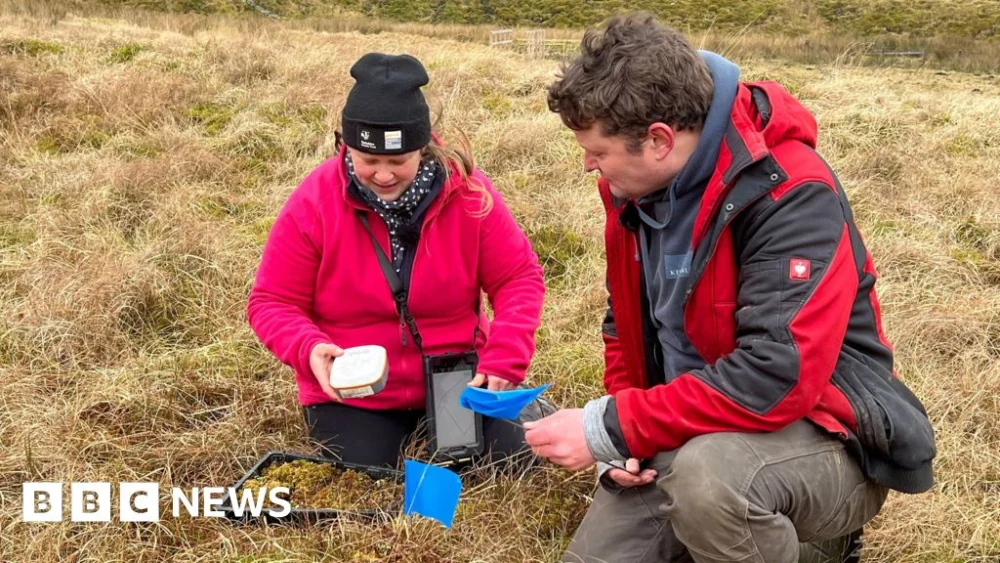 Rare mosses reintroduced to Yorkshire to fight climate change.