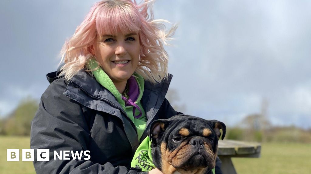 Rising vet costs leave Birmingham charity with £400k bill