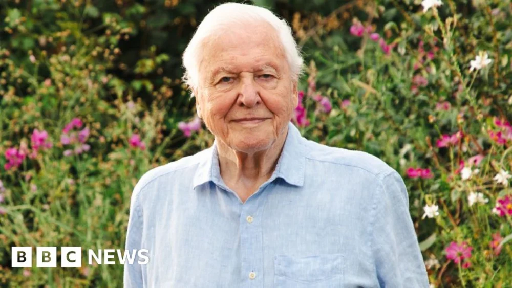 Sir David Attenborough’s 100th birthday to be marked by BBC with special programmes