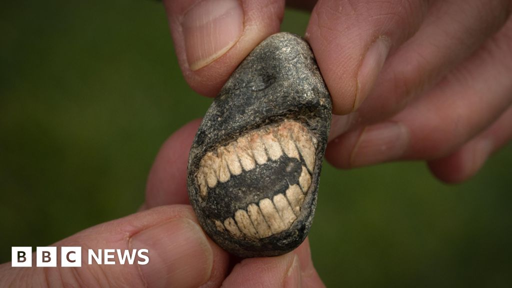 ‘Smiling’ fossil discovered in Northumberland