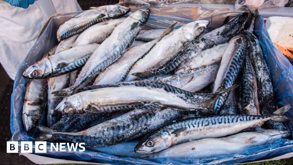 Waitrose to suspend mackerel sales due to overfishing concerns.