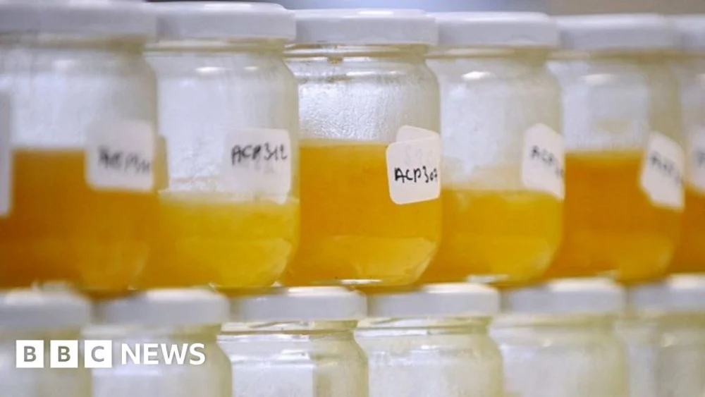 Why food fraud persists, even with improving tech