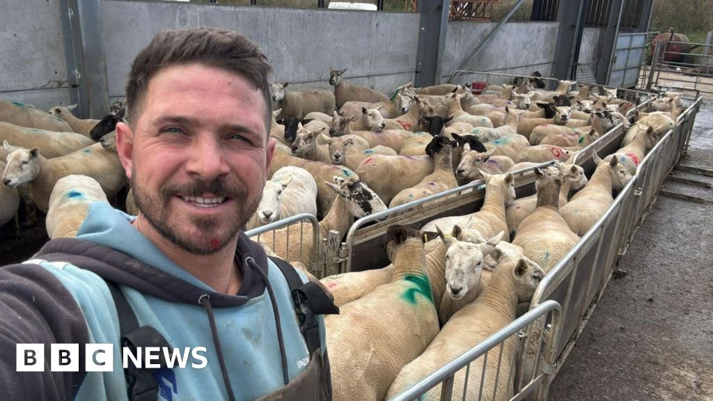 Dog owners face unlimited fines for farm livestock attacks.