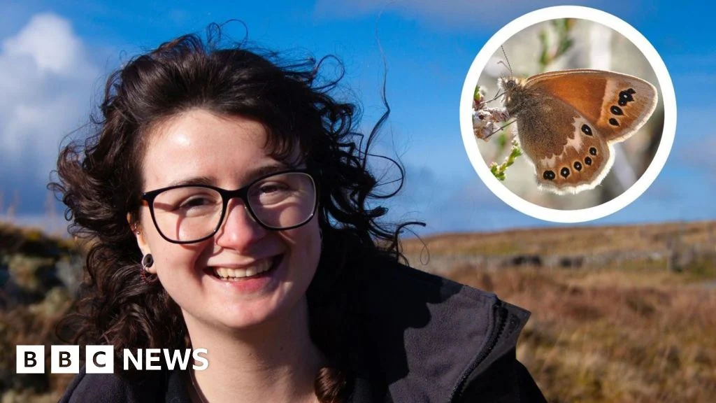Large heath butterflies are ‘canary in coal mine for climate change’