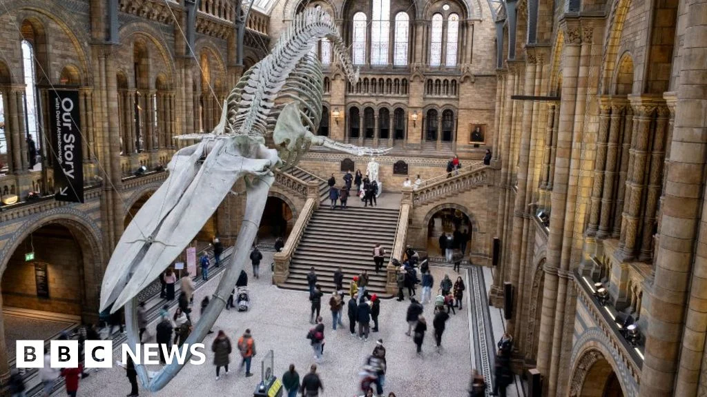 Natural History Museum most popular tourist attraction in 2025.