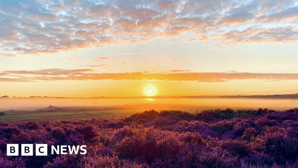 Norfolk Wildlife Trust’s centenary ‘free weekend in nature’