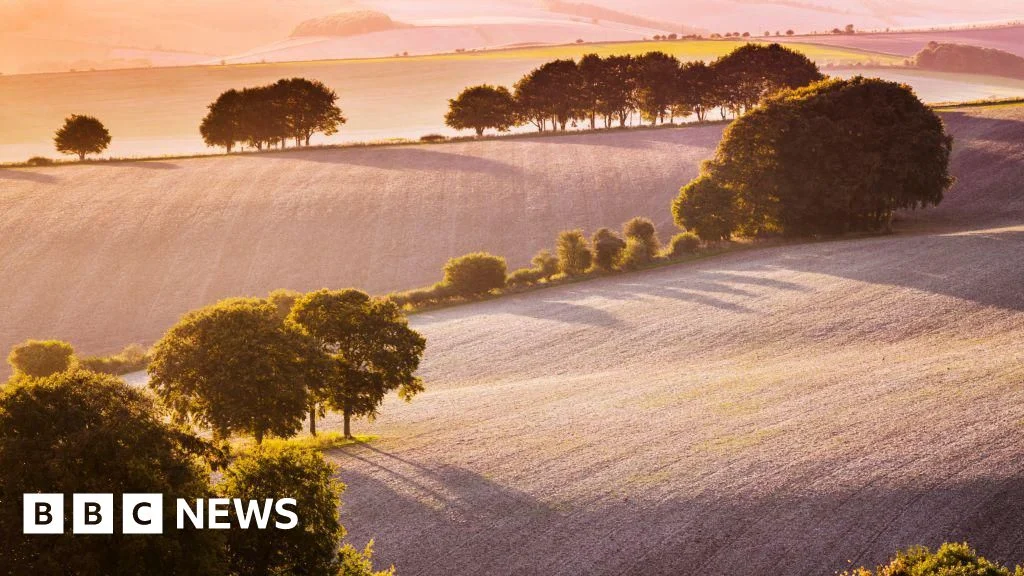 North Wessex Downs bid for £1m in enhancements