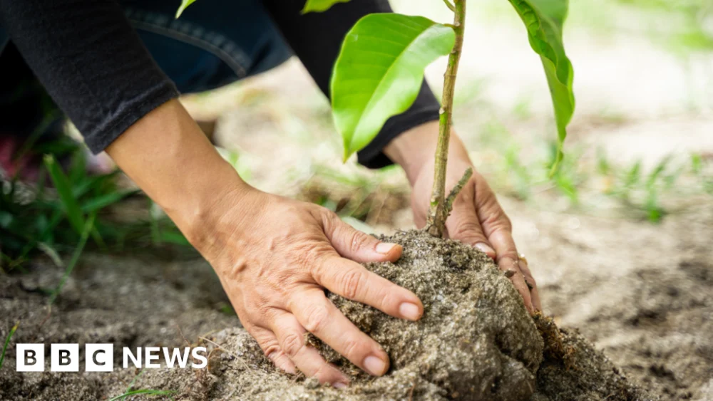Staffordshire Moorlands District Council offers funding for green initiatives