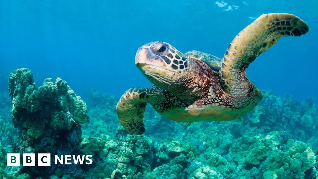 US ‘God squad’ waives environmental protections for oil drilling
