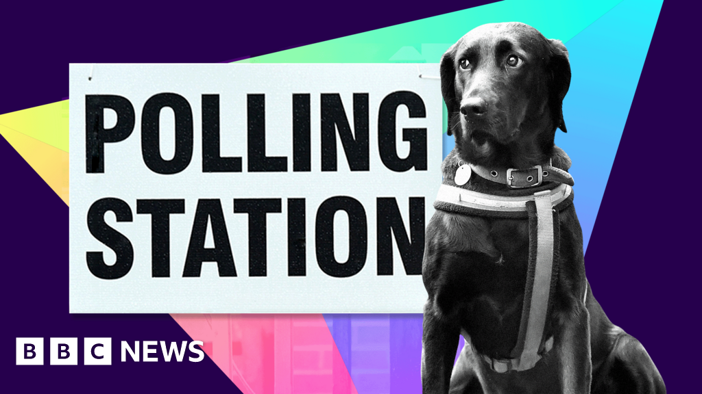 Which elections are taking place in England, Scotland and Wales on 7 May?