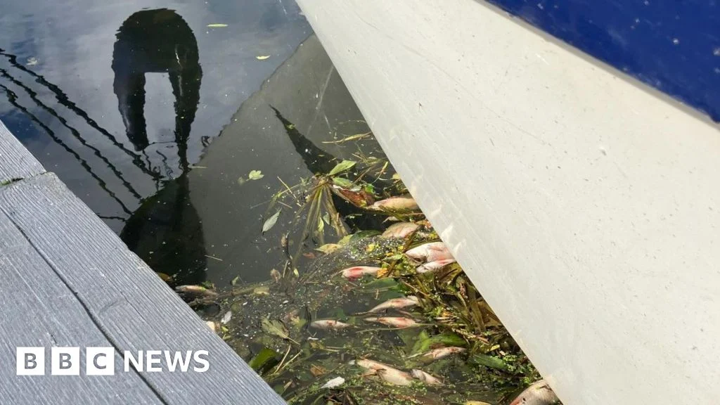 Why no prosecutions over Whittlesey dead fish, questions MP