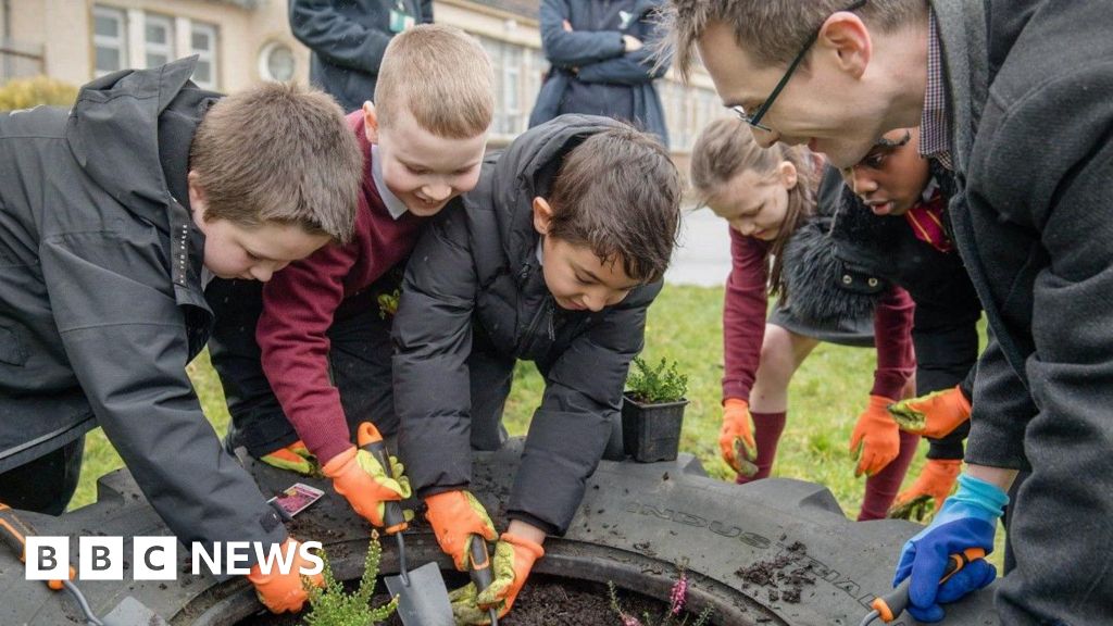 Wild spaces for butterflies to be created in Glasgow
