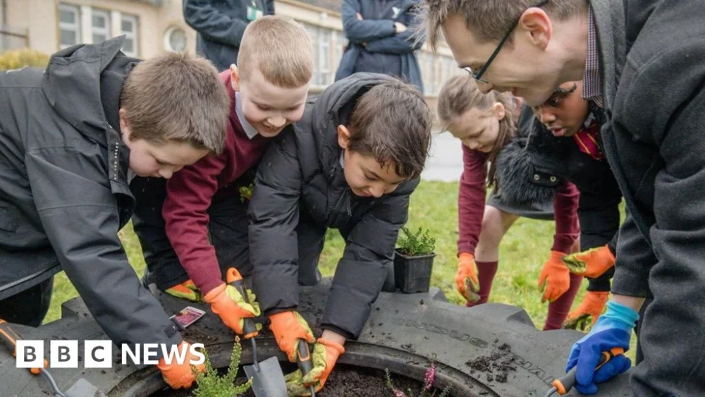 Wild spaces for butterflies to be created in Glasgow