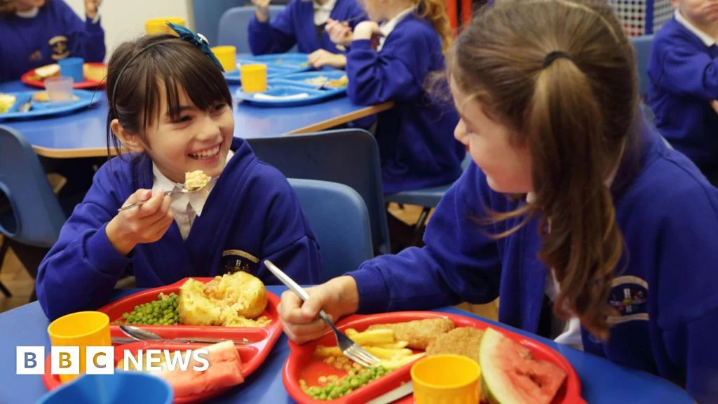 Deep-fried food banned in new plans for school dinners.