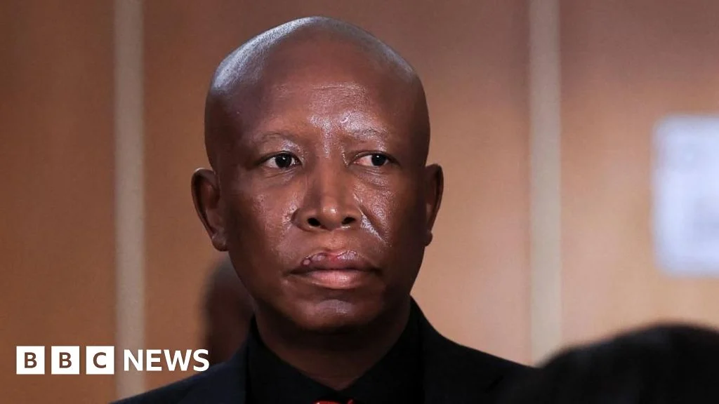 Julius Malema: South African opposition figure sentenced to five years.