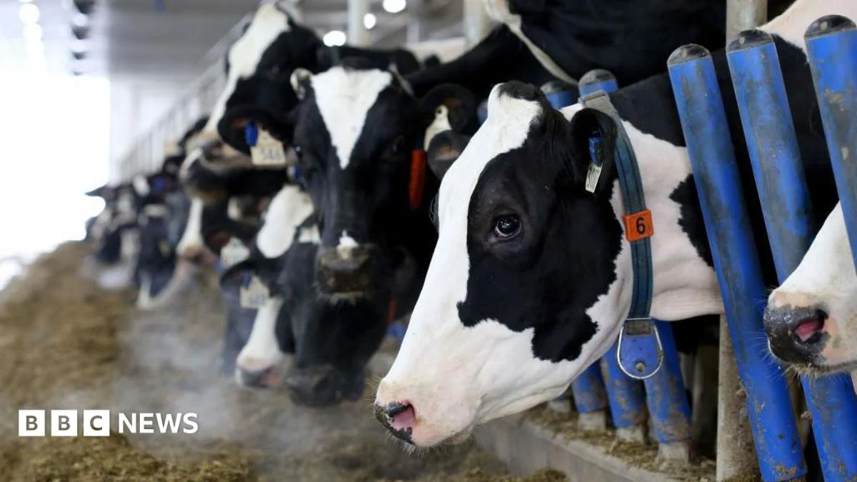 Canada’s ‘powerful’ dairy sector is in Trump’s trade crosshairs.