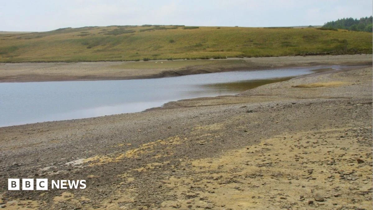 Drought declared for whole of Wales amid sustained high temperatures.