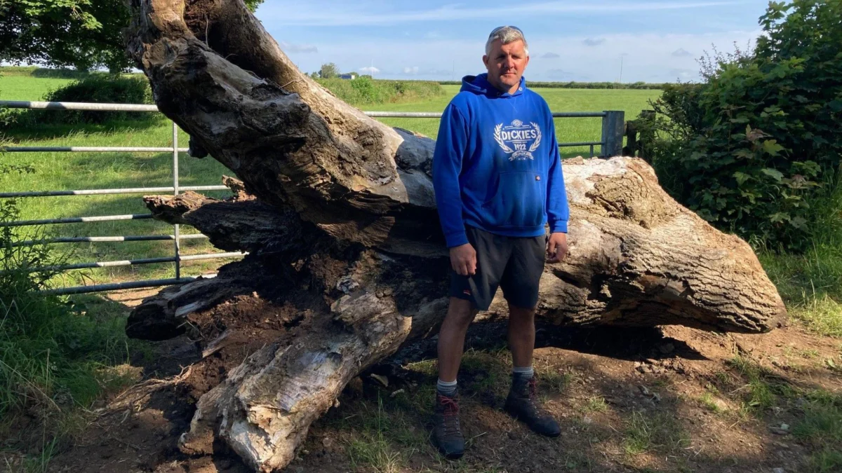 Farm gates smashed and crops destroyed by ‘gangs hunting hares’