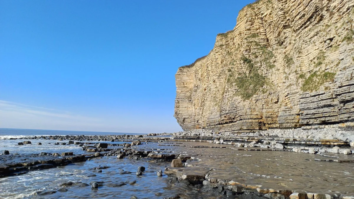 Fossil hunter discovers rare ‘sea dragon’ at Lavernock Point