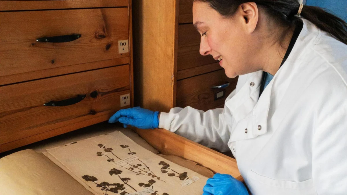 ‘Hidden time-capsule of UK biodiversity’ being unlocked