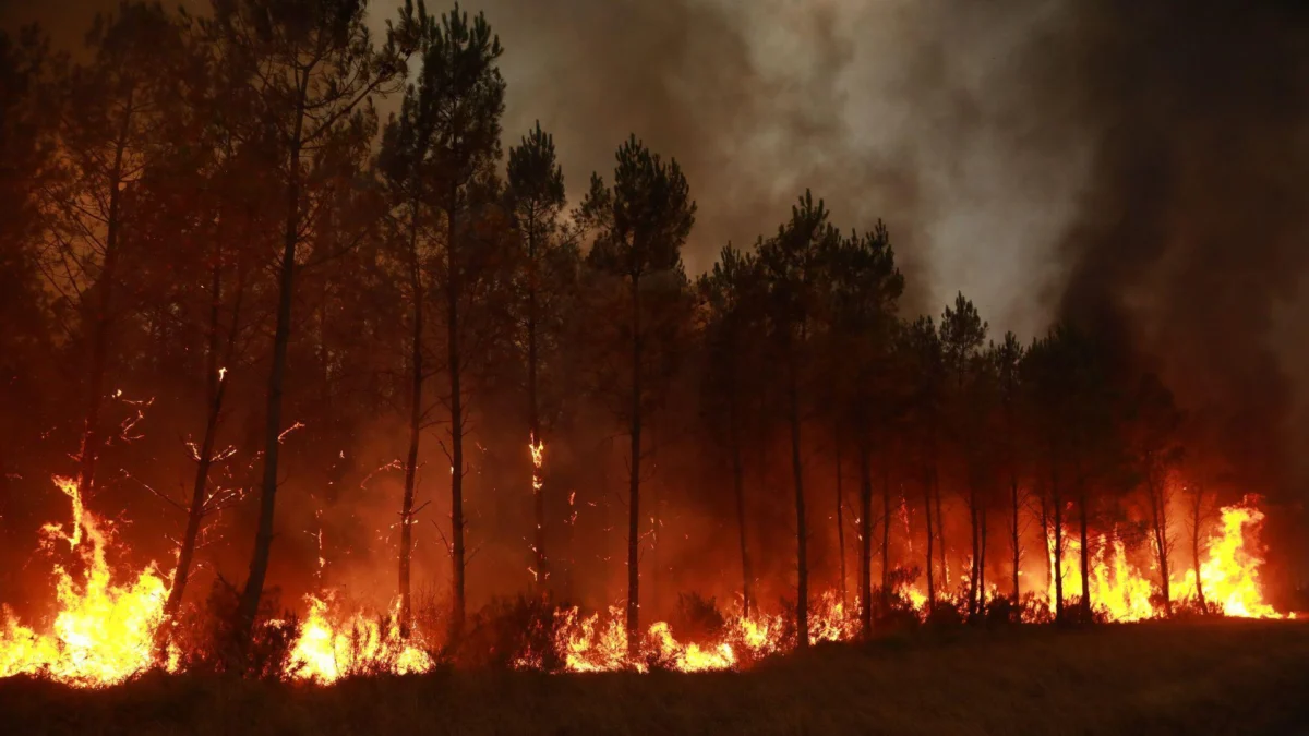 How ‘fire-generated thunderstorms’ make wildfires more deadly.