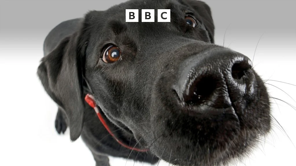 Tech Life – Smell the future – BBC Sounds