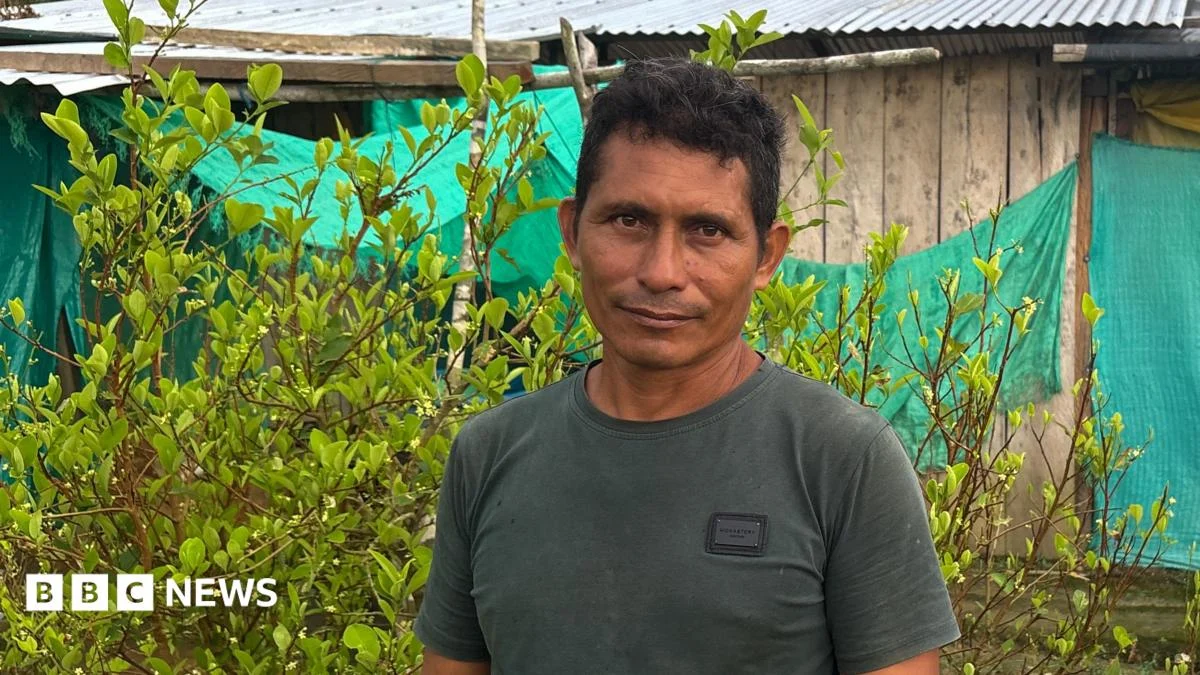 This farmer wanted to quit the cocaine industry – he couldn’t