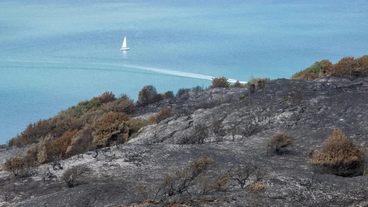 Crews tackle Headon Warren fire flare-up as peat burns underground