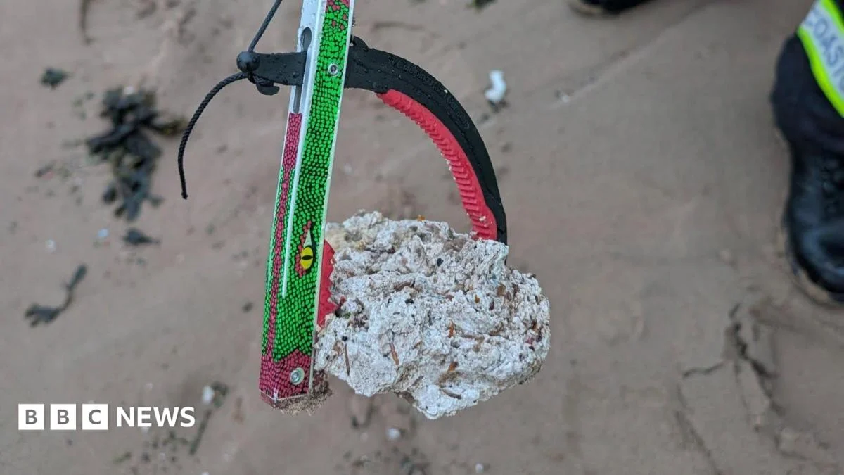 Dog warning as suspected palm oil washes up on Wirral beach
