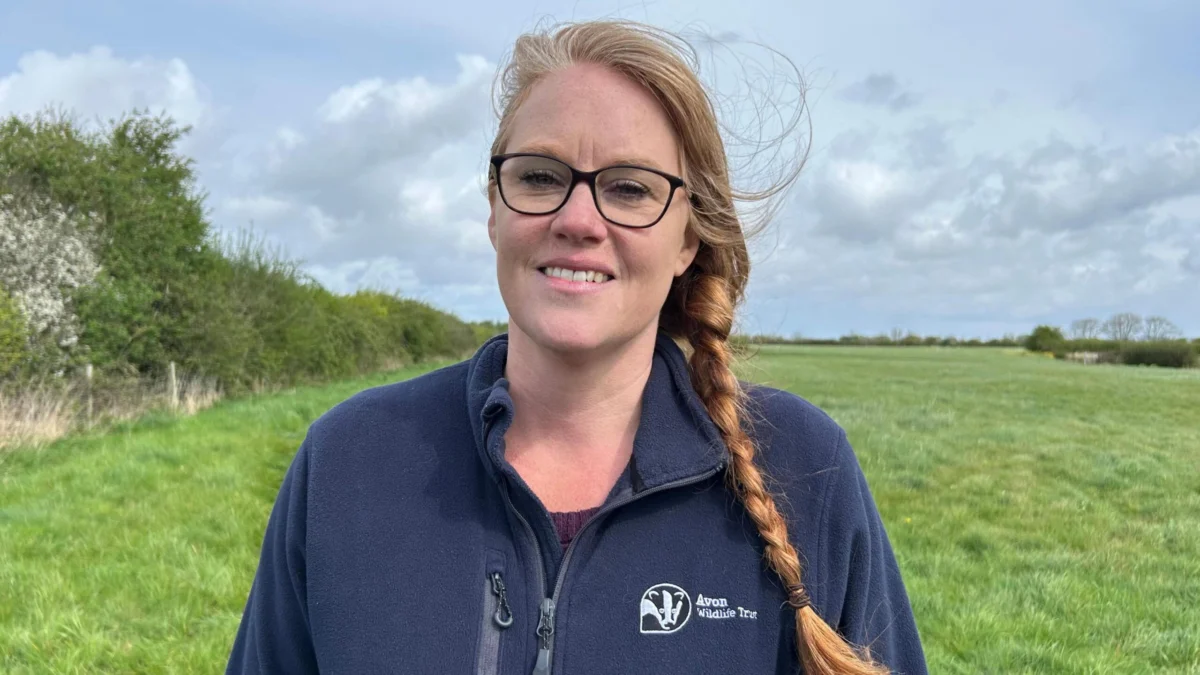 Former dairy farm to become ‘climate resilient’ nature reserve