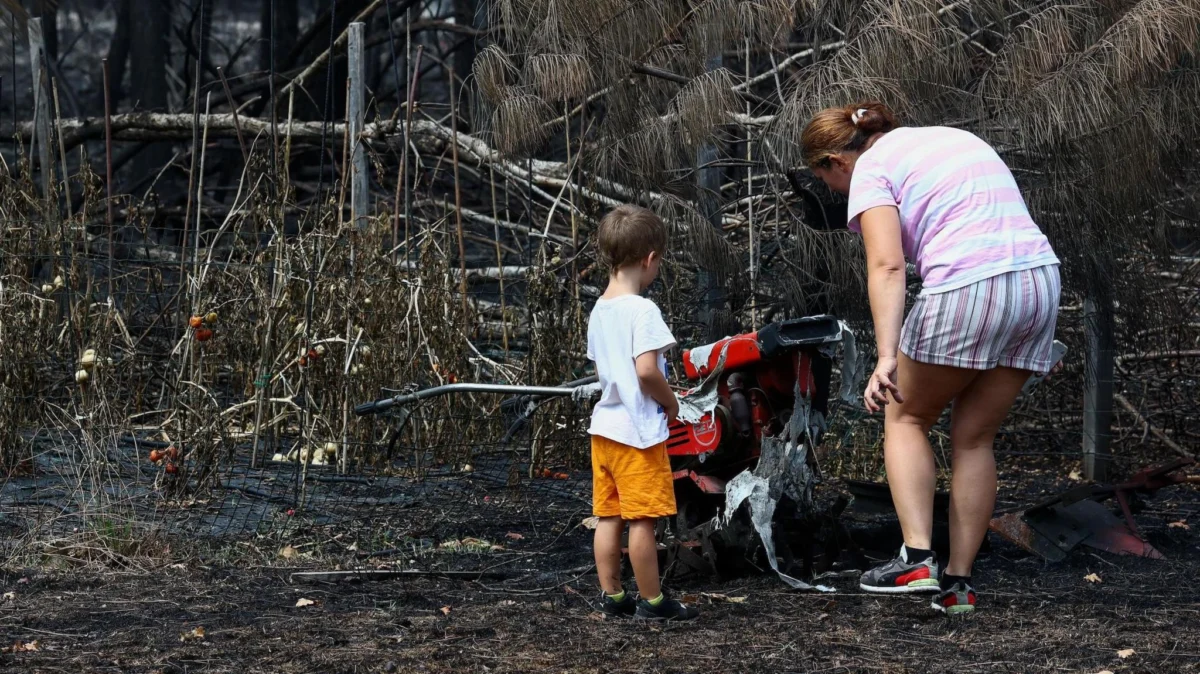 France wildfires reveal hundreds of WW2 shells in village