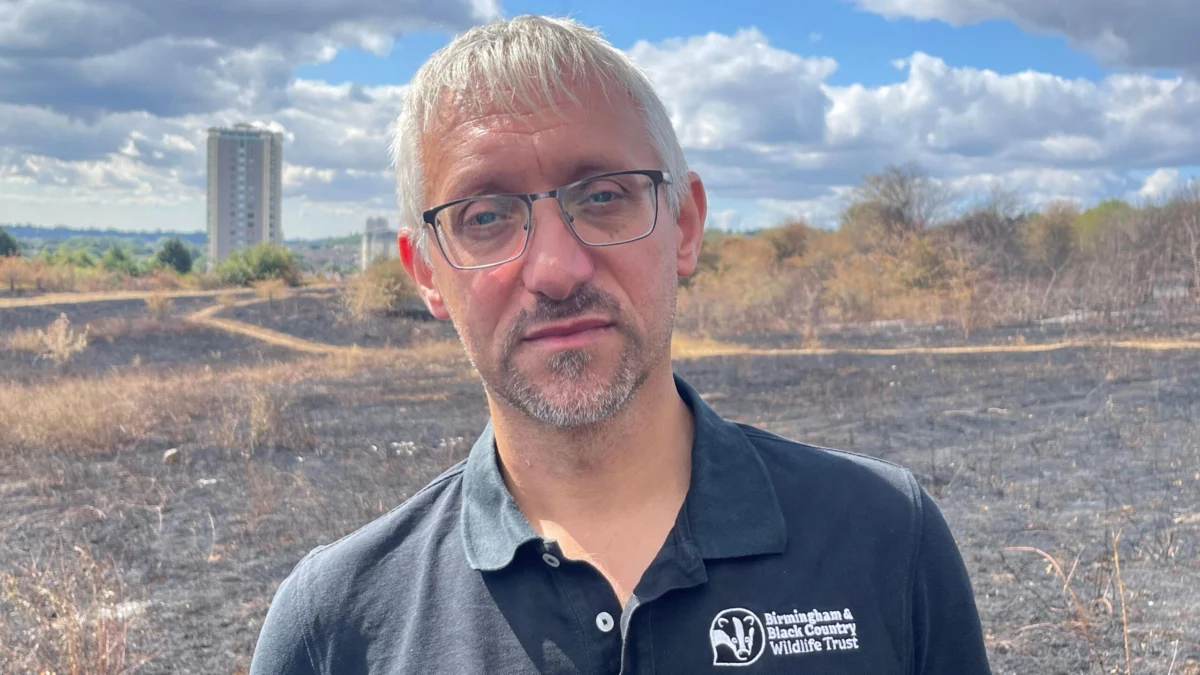 How can the landscape recover after devastating fires?