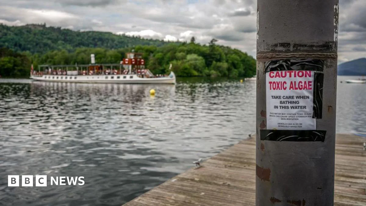 Majority of England’s rivers and lakes fail pollution review.